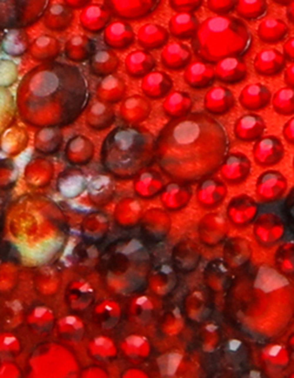 CLARK HEELS BLACK FLOWER MULTI Slingback Women's Kitten Heel