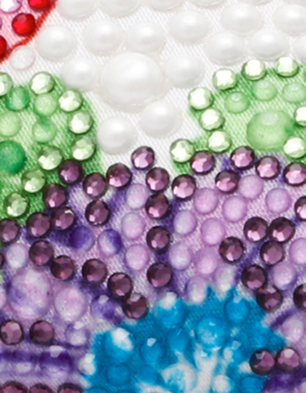 CLARK BRIGHT MULTI Women's Rhinestone Floral Heel